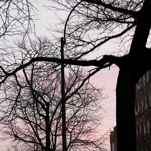 Meet your Posher, Marlon